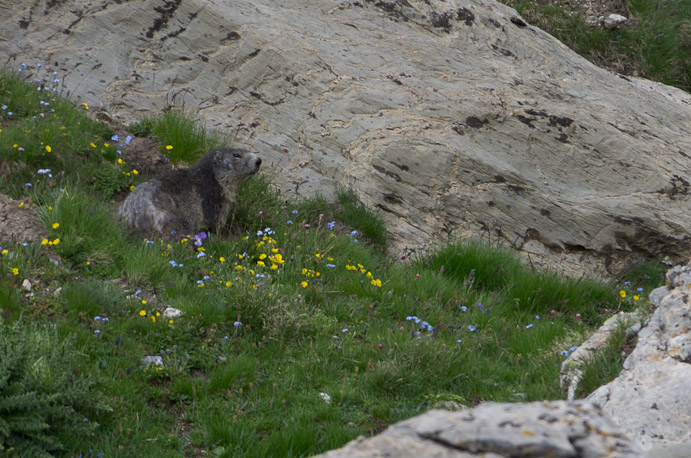 Premier jour : de St Paul au refuge de Chambeyron