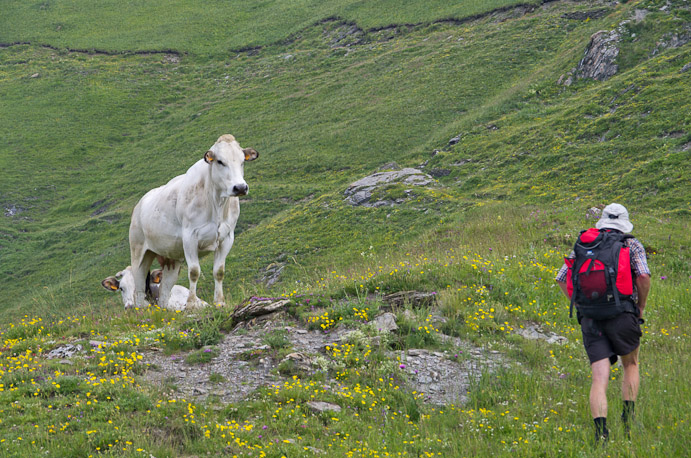 Cinquième jour : d'Elva à Pontechianale.